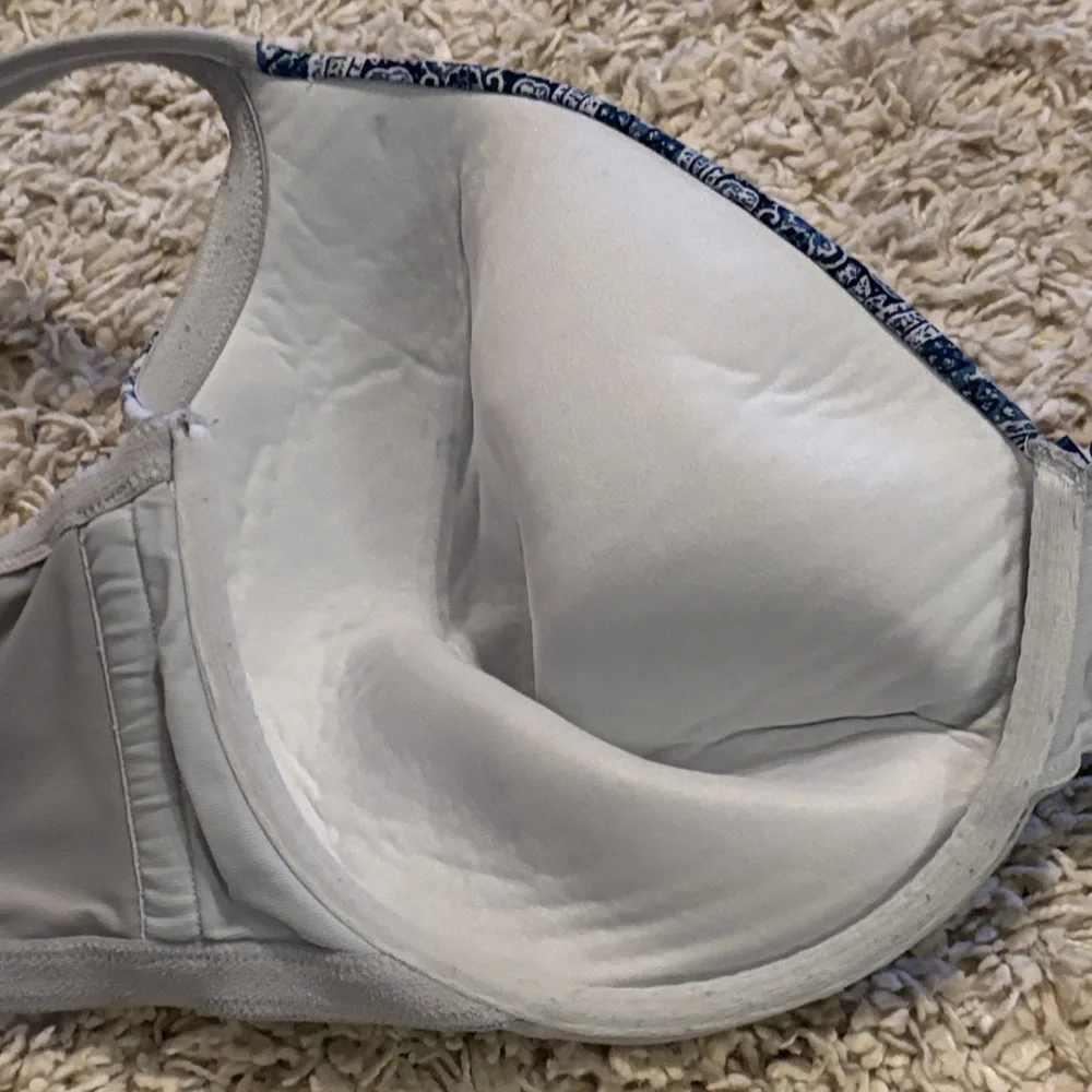 Cacique Blue and White Lace Accent Bra